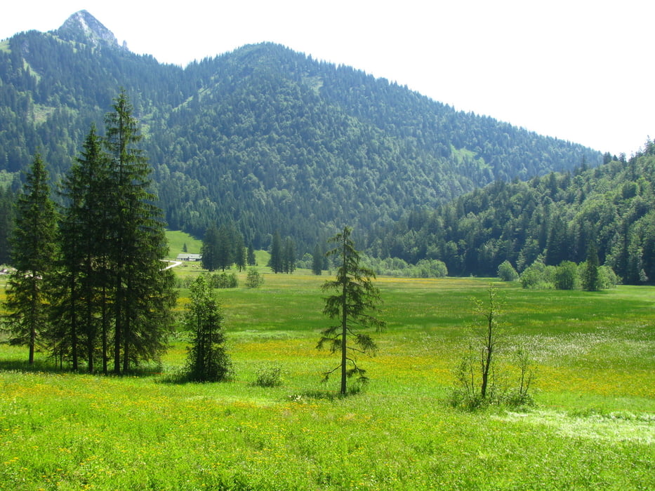 Mountainbike Bad Wiessee nach Lenggries, Hirschtalsattel